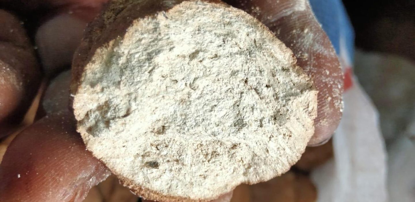 Cinnamon, Red Onion, Gambier and Vanilla- Primal Earth Export (4)