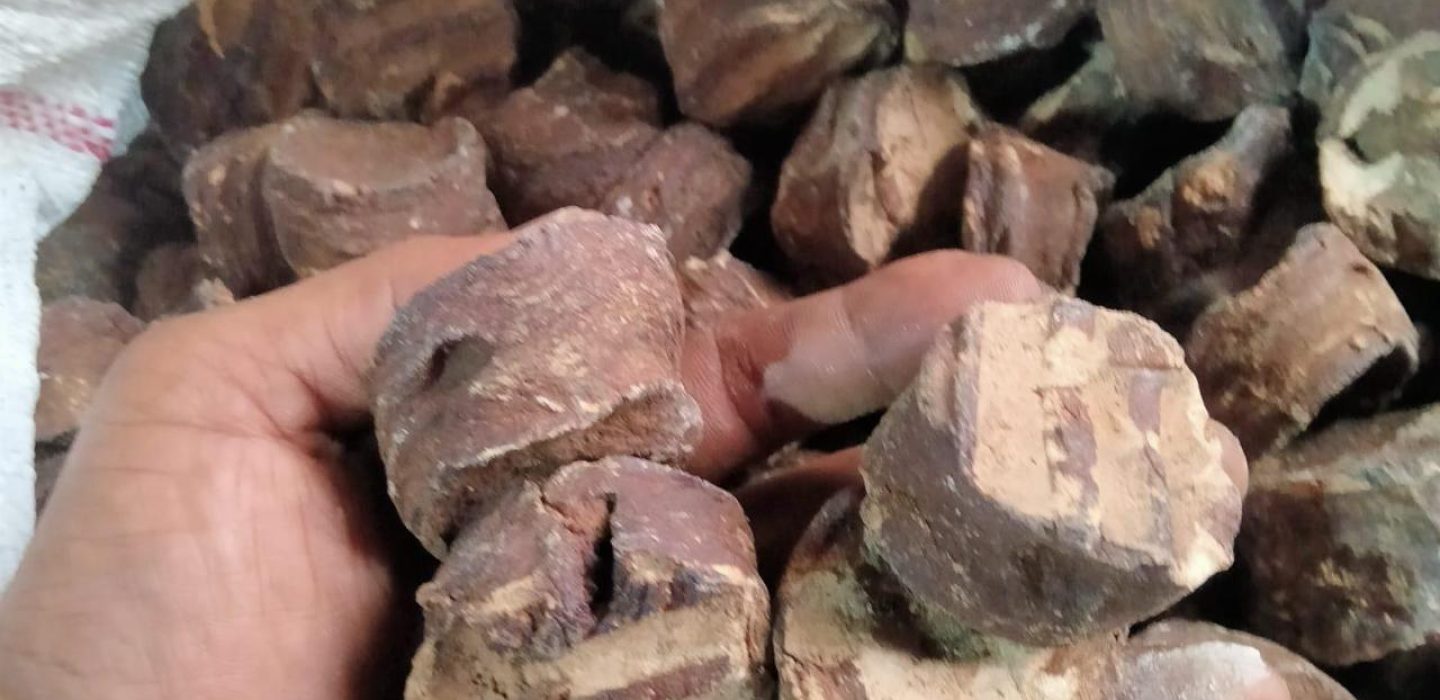 Cinnamon, Red Onion, Gambier and Vanilla- Primal Earth Export (7)