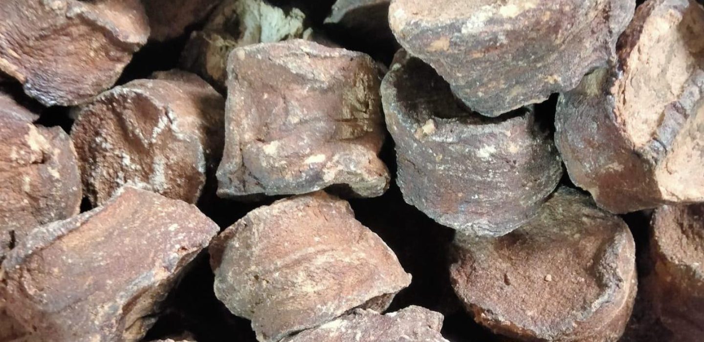 Cinnamon, Red Onion, Gambier and Vanilla- Primal Earth Export (9)
